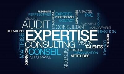 MISSION AUDIT PATRIMONIAL