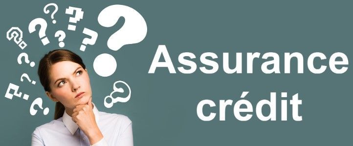 Mission Assurance Emprunteur -