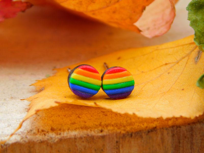 LGBT+ Flagge Ohrstecker