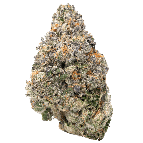Jealousy Premium THCa Flower (Hybrid)