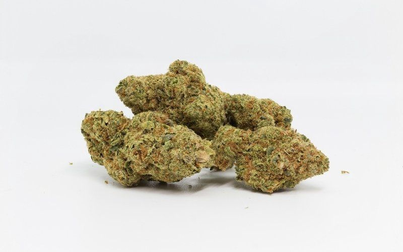Rainbow Sherbert 11 Premium THCa Flower (Hybrid)