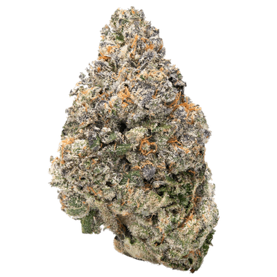 Jealousy Premium THCa Flower (Hybrid)