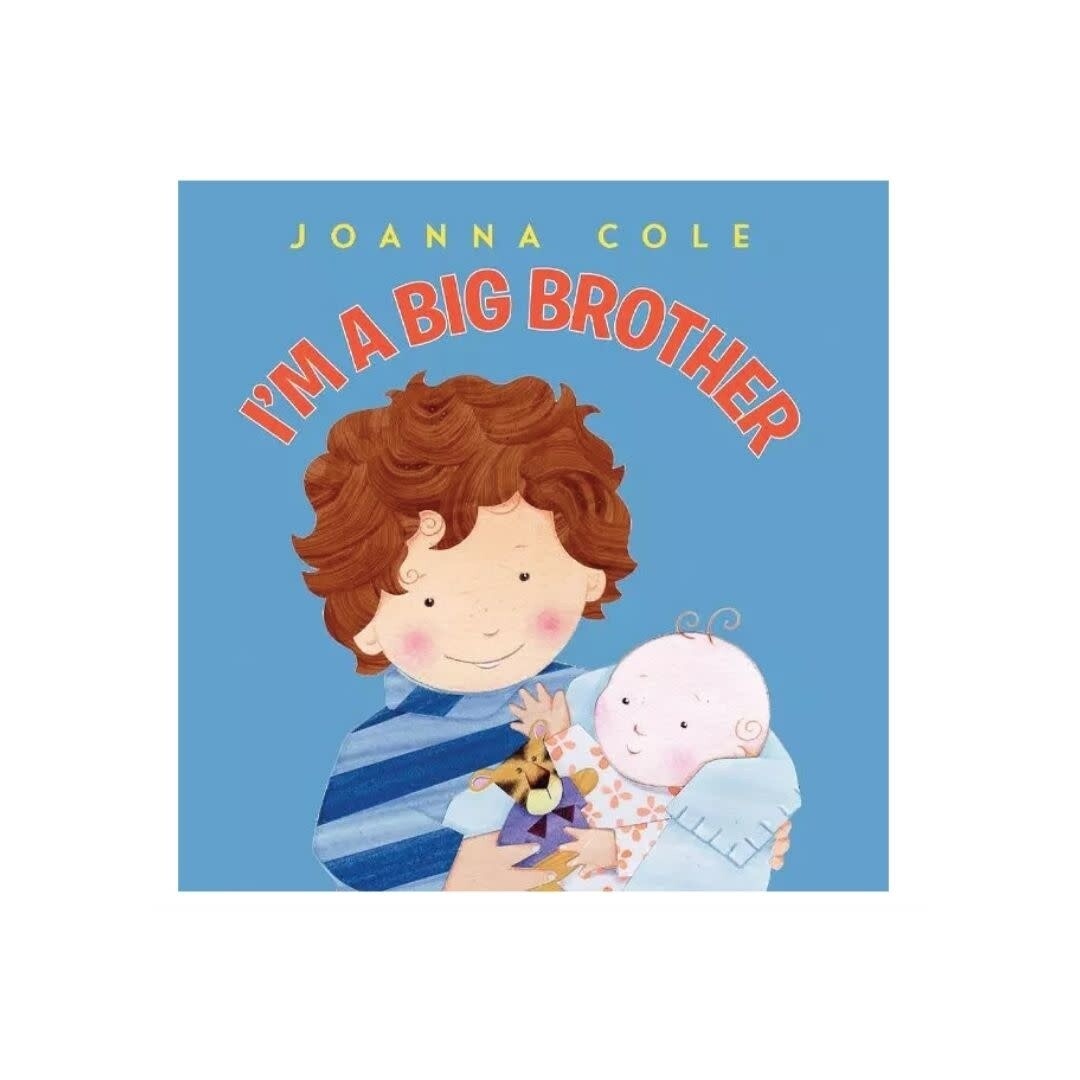 I&#39;m a Big Brother Book