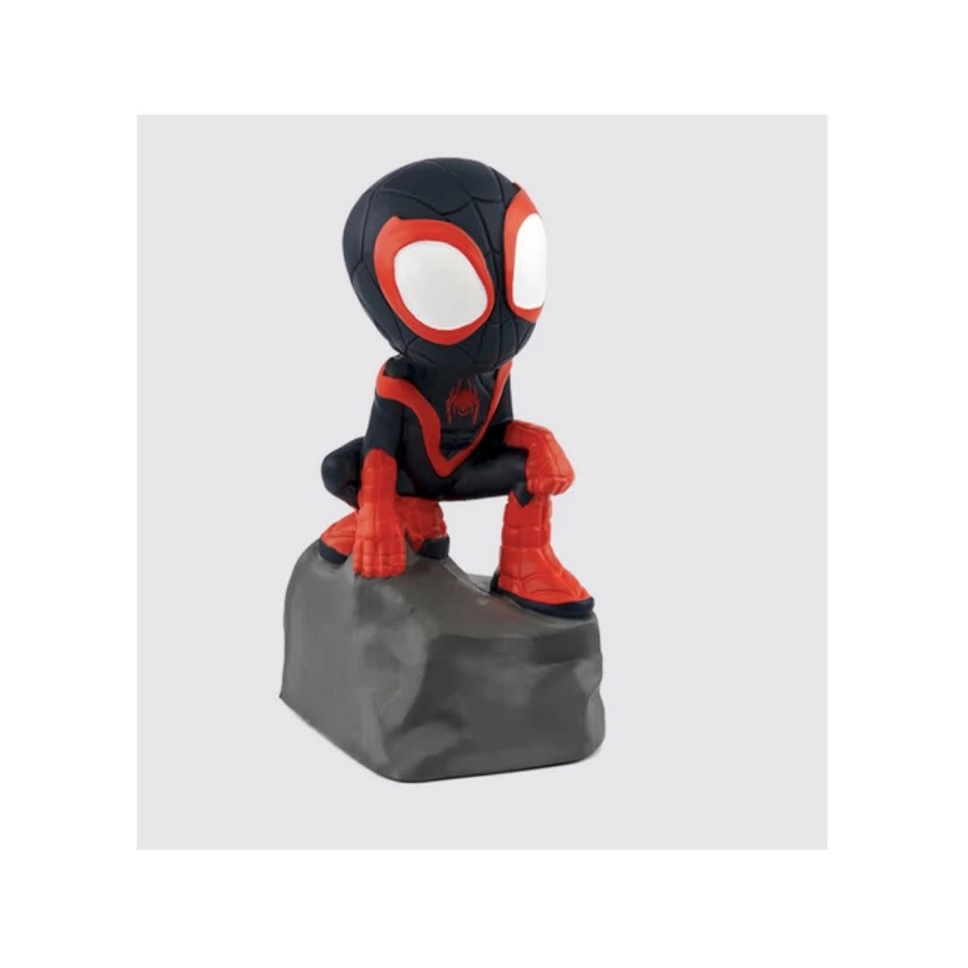 MARVEL SPIDEY &amp; HIS AMAZING FRIENDS: SPIDEY