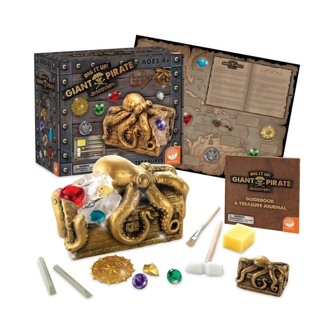 DIG IT UP! PIRATE DISCOVERY