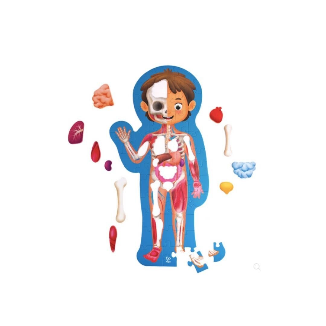 Human Body Puzzle