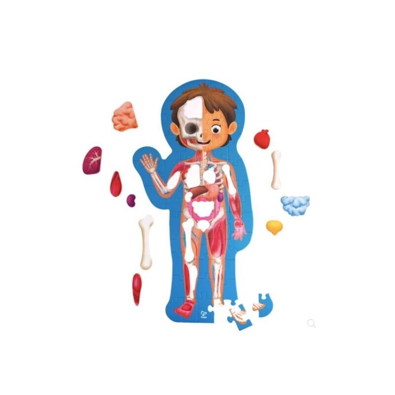 Human Body Puzzle