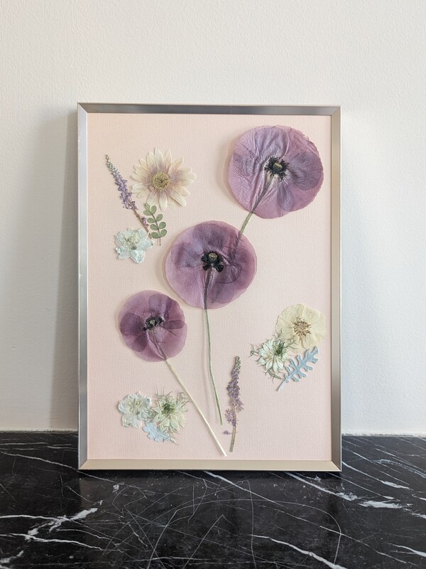 Pressed Flower Art, Purple poppies