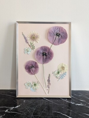 Cadre d'art floral pressé, coquelicots violets