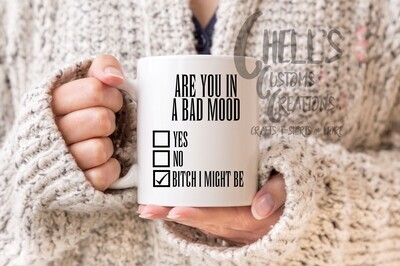 Are You In A Bad Mood Mug