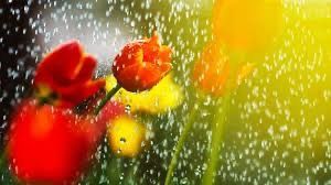 The Power of Need ~ 22nd March 2025