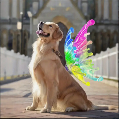 Fairy Light Wings Costume with Music