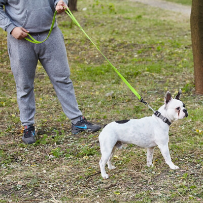 Dogline Biothane Waterproof Multi-Handle Leash, 6ft