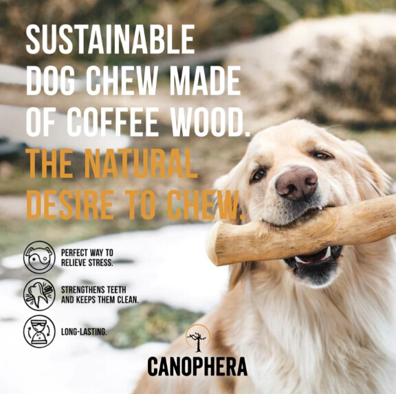 Canophera Coffee Wood Sticks Dog Chew Toy, Each