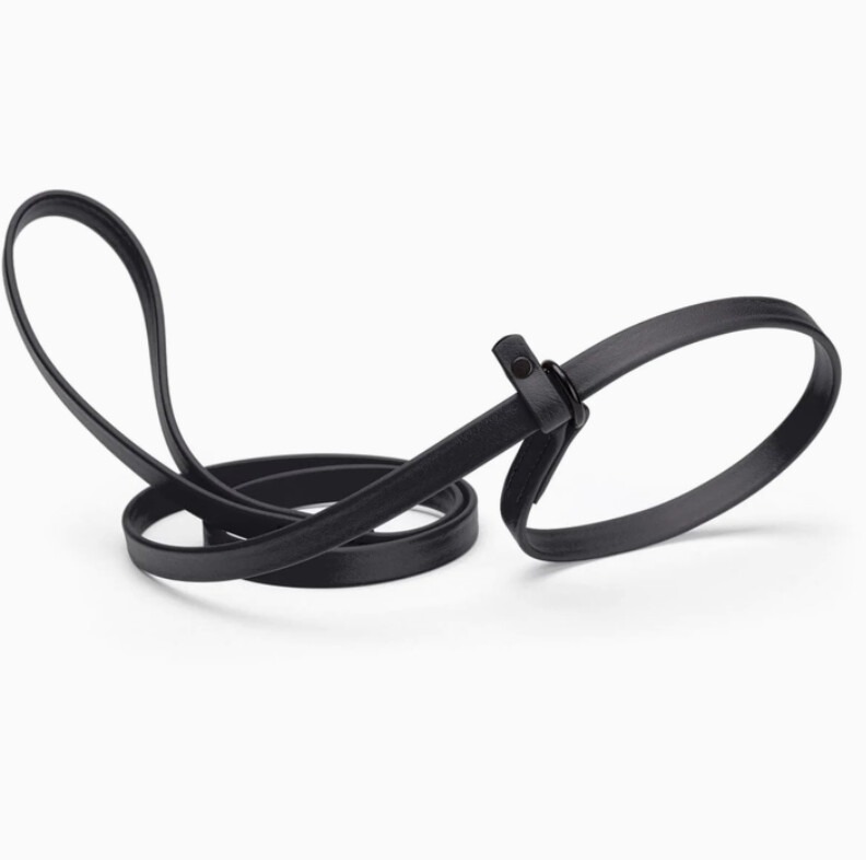 Biothane Slip Lead, 5ft, Color: Black
