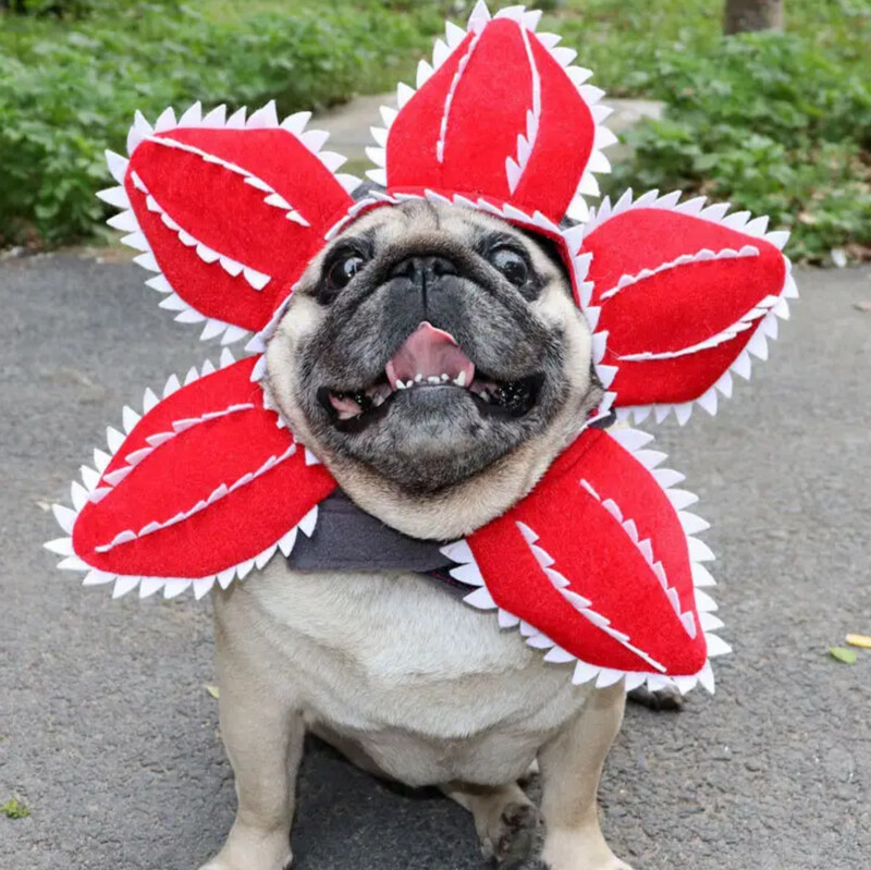 Demogorgon Hat Pet Costume