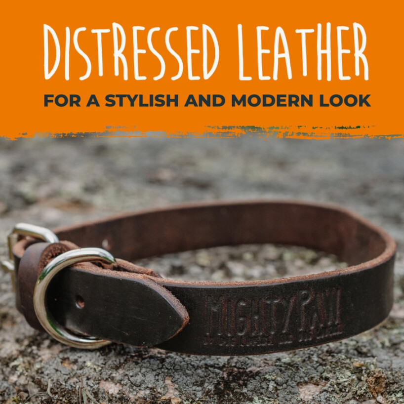 Distressed Leather Dog Collar by Might Paw, Color: Leather Brown, Size: Large