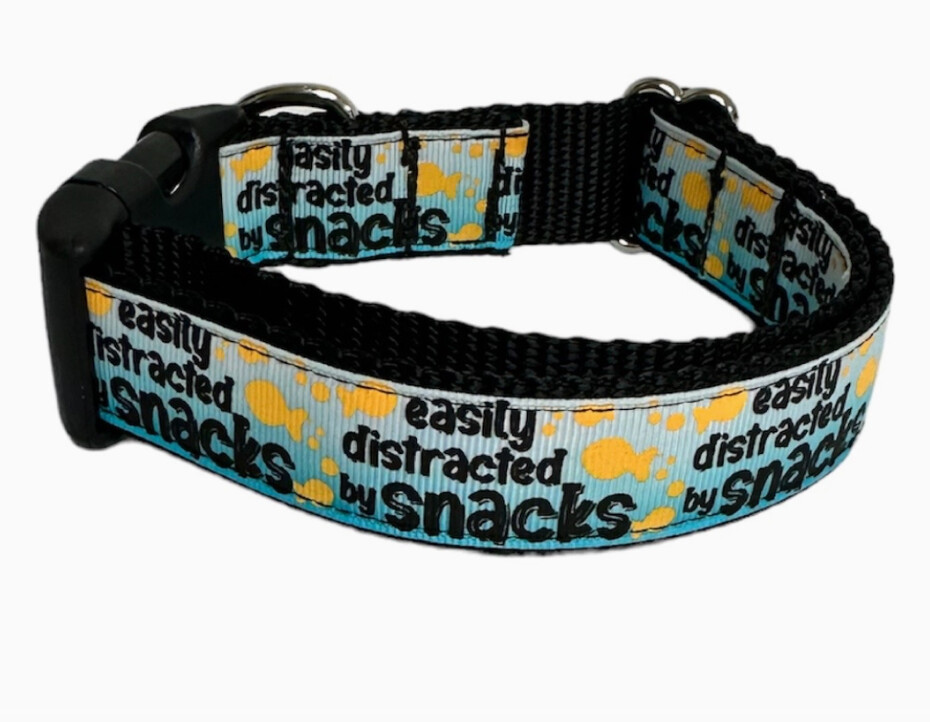 Easily Distracted by Snacks Pet Collar by Delightful Dog Products, Size: Small (10-15&quot;) / Blue Ombre