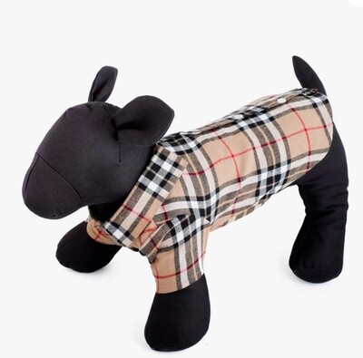 Fall Plaid Pet Shirt in Tan by Worthy Dog