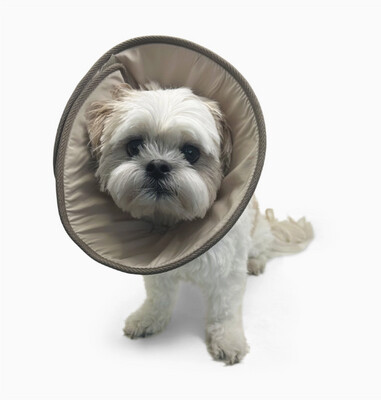 Get Better Soft Elizabethan Medical Collar - Beige