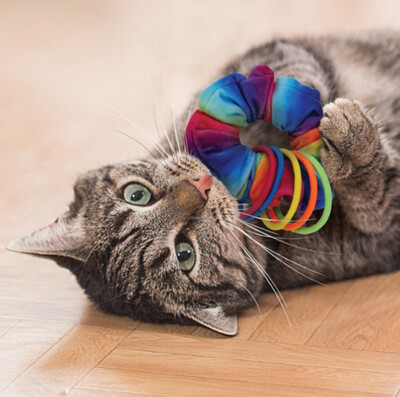 Kong Cat Active Scrunchie Toy