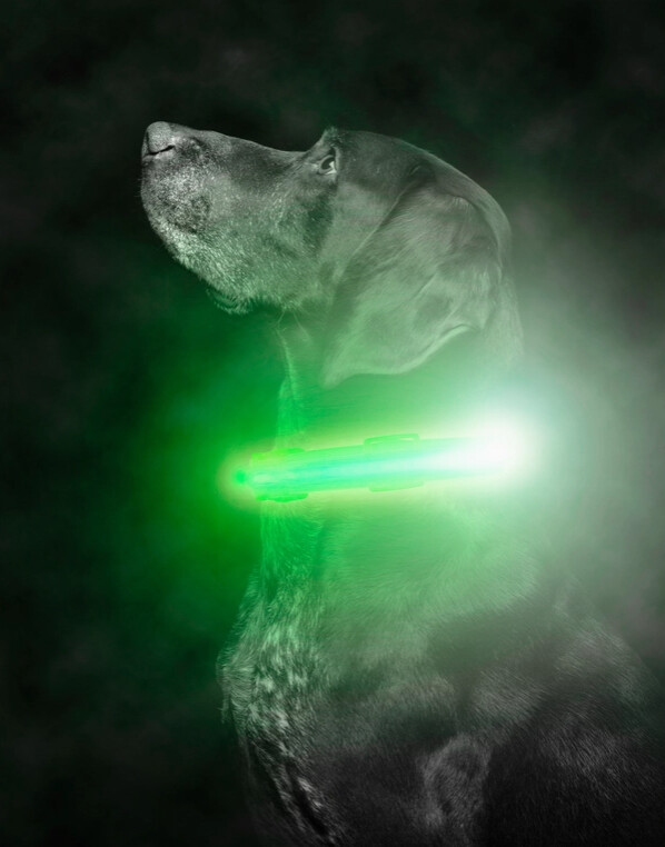 LED Dog Collar, Green by Mighty Paw, Size: Medium