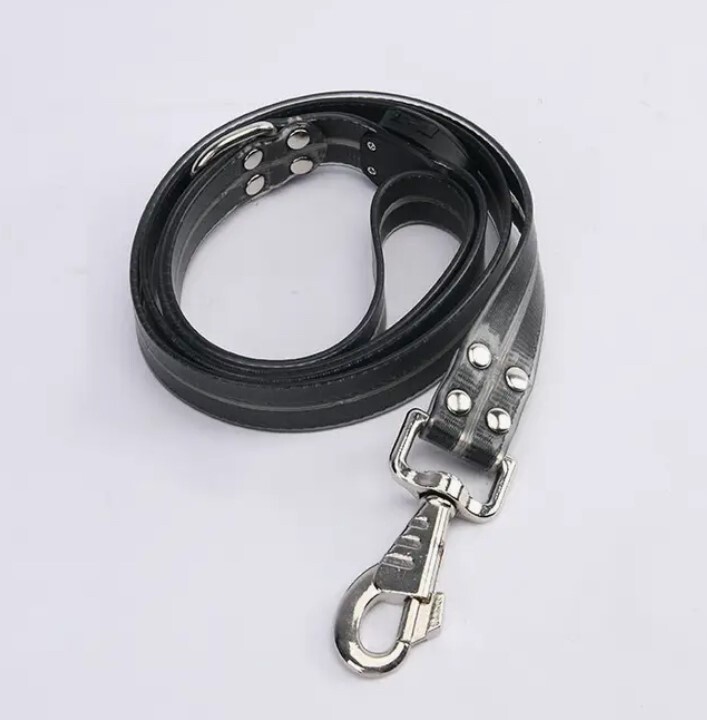 LED Dog Leash - Light Up Safety Leash - 4ft, Color: Black