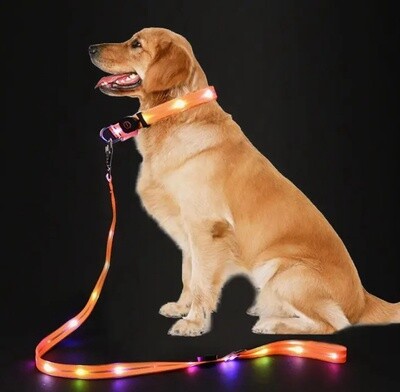 LED Dog Leash - Light Up Safety Leash - 4ft