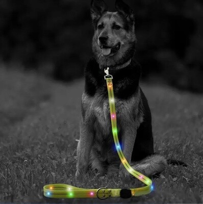 LED Dog Leash - Light Up Safety Leash - 4ft