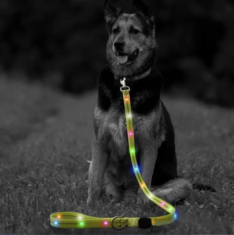 LED Dog Leash - Light Up Safety Leash - 4ft