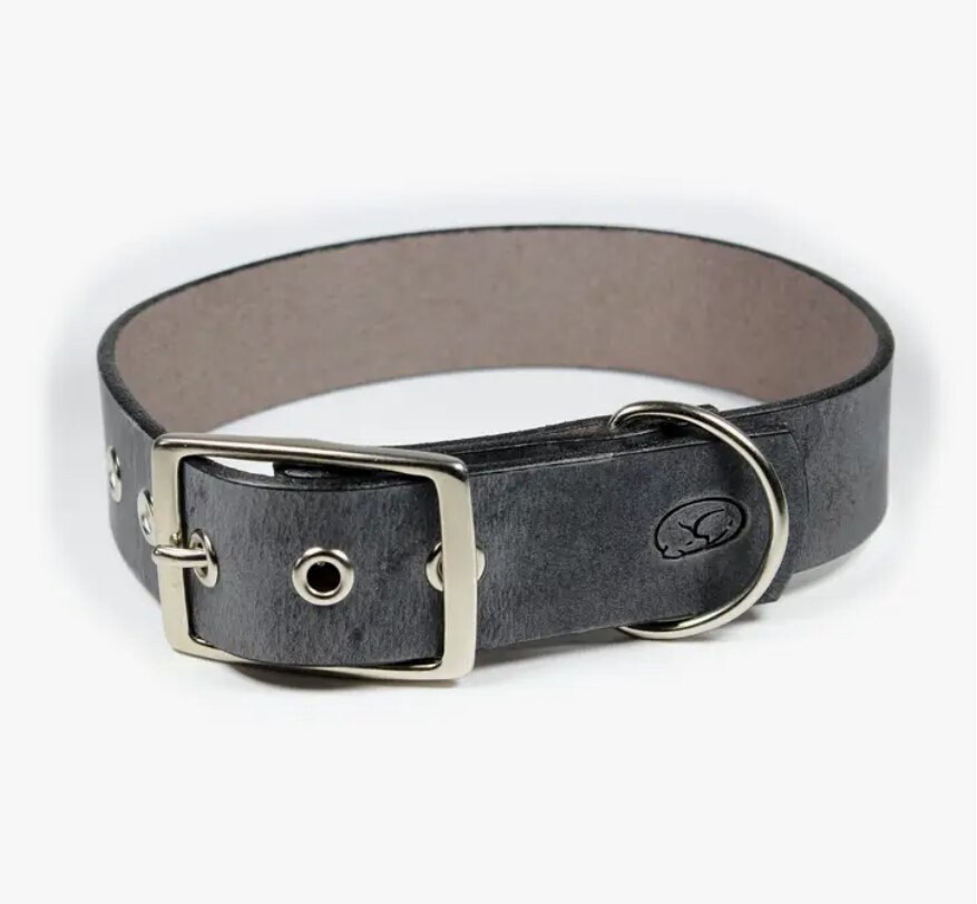 Big Dog 1.5&quot; Leather Dog Collar - XL 22-26in, Color: Grey