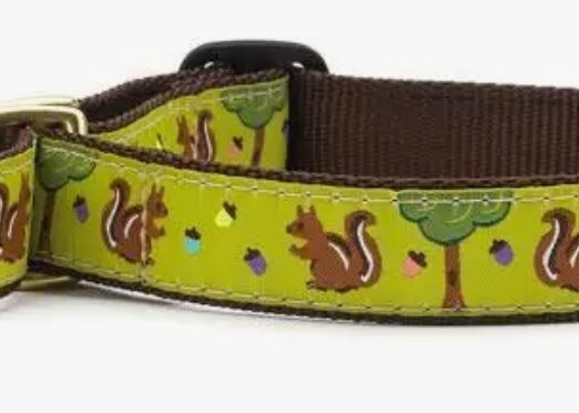 Nuts Martingale Dog Collar, Wide, Size: Large