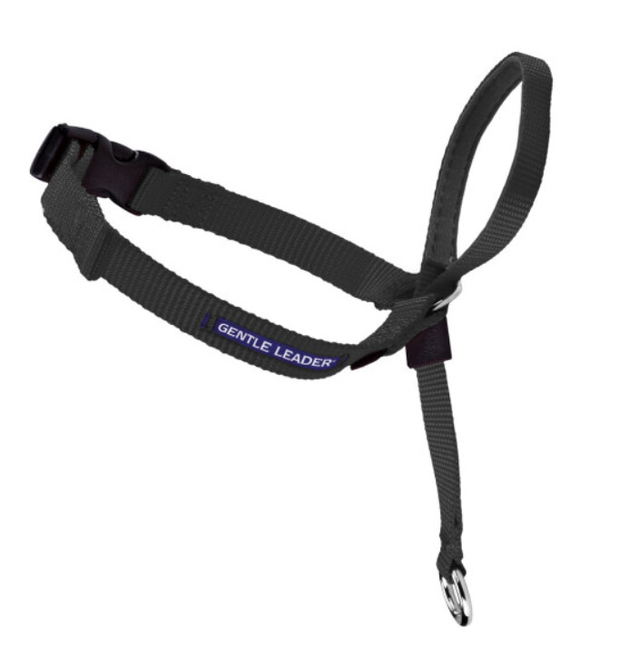 PetSafe Gentle Leader No-Pull Headcollar in Black, Size: Petit, Color: Black