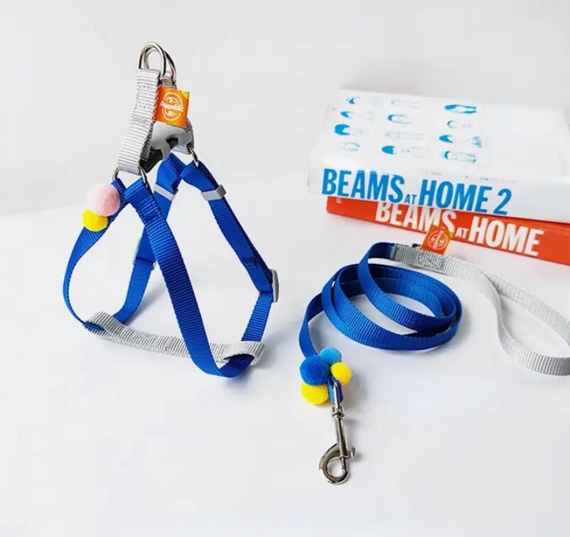 Simple Harness &amp; Leash Set for Cats and Small Pets 11 - 22lbs, Color: Blue
