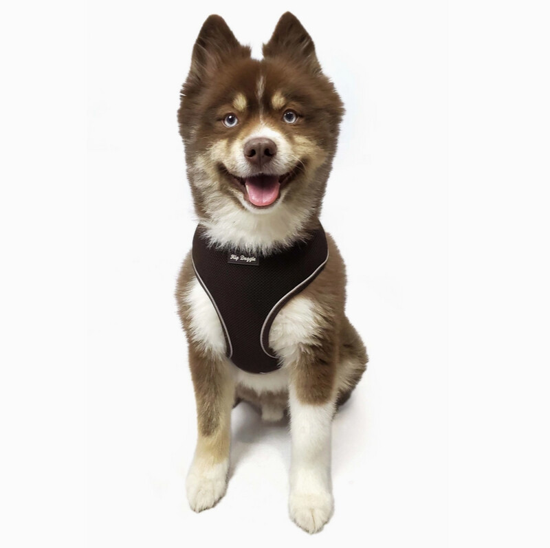 Hip Doggie Ultra Comfort Harness Vest, Brown