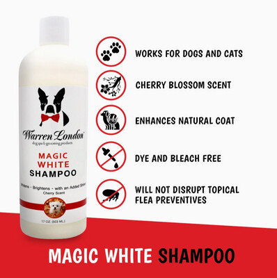 White Magic Shampoo