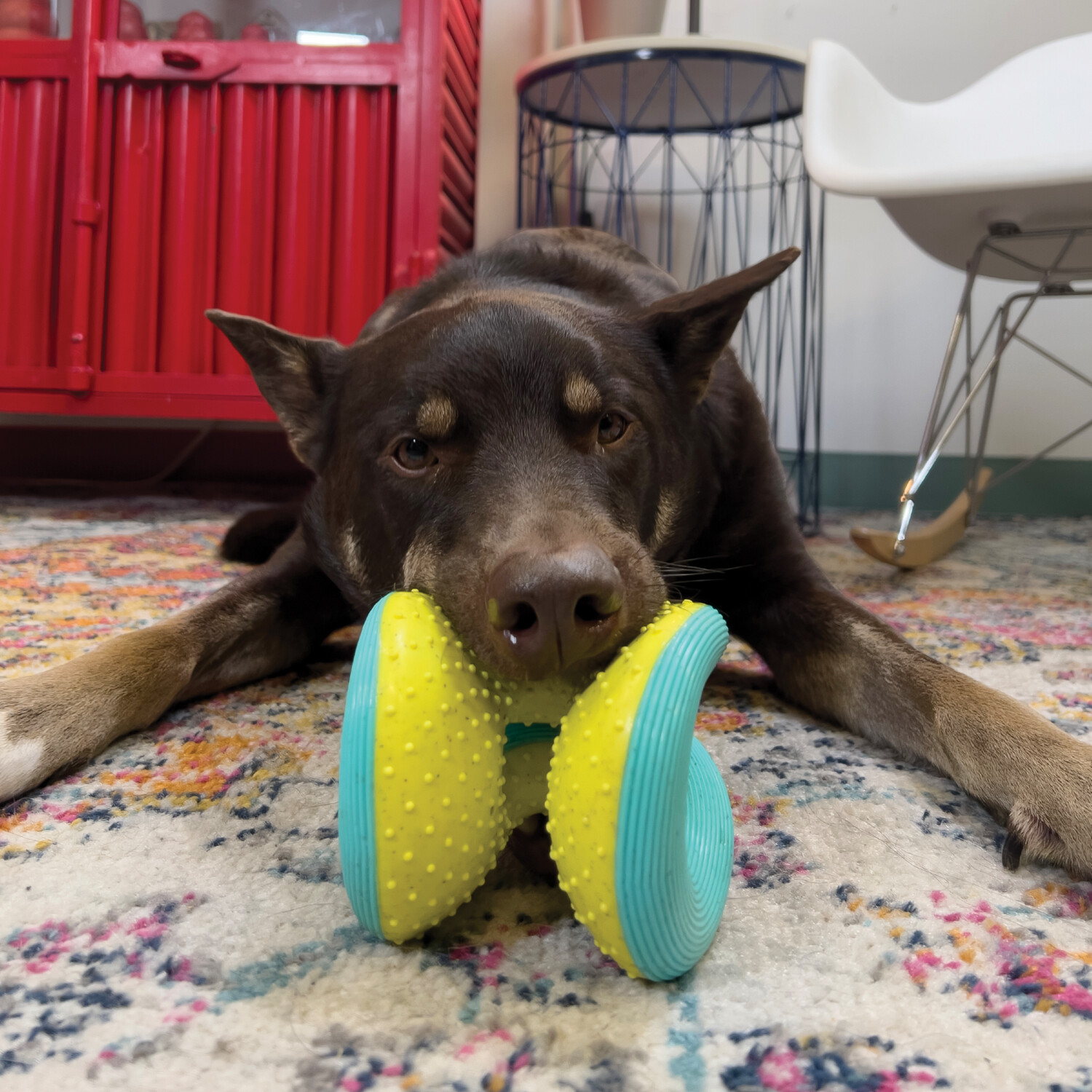 Kong Rerun Whoosh Treat Holder