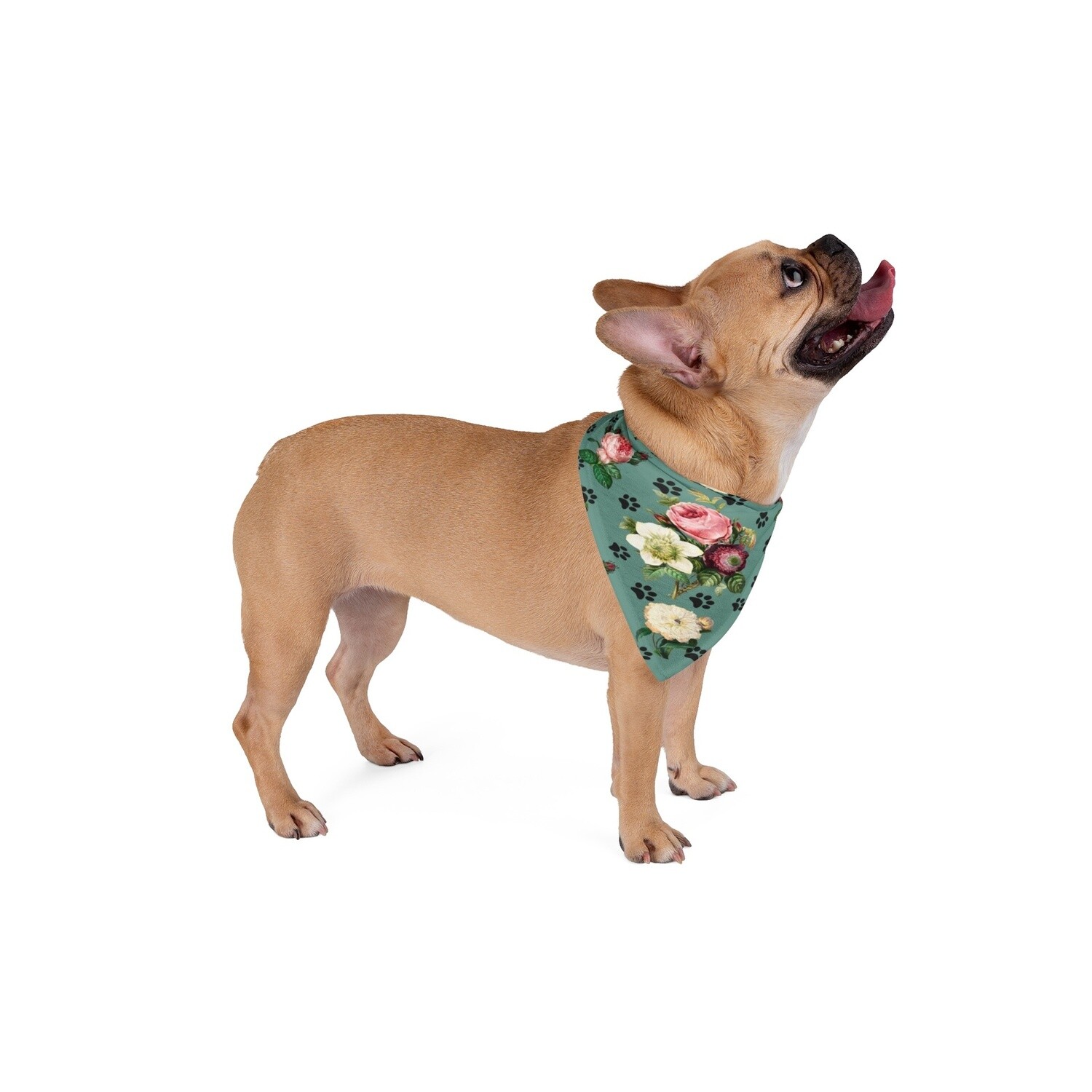 Tromping thru the Roses Pet Bandana, Size: Small (20&quot;x9.75&quot;)