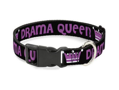 Buckle Down DRAMA QUEEN Dog Collar