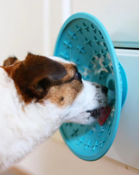 LickiMat Splash Bath Bowl