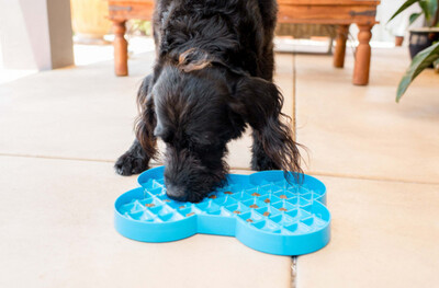 LickiMat Slodog Slow Feeder Plate