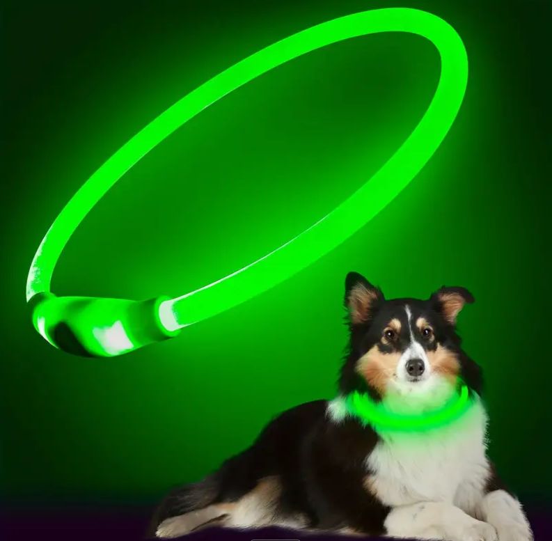 LED Slip On Pet Collar, Rechargeable, Green, Size: Large (up to 27&quot; Neck)