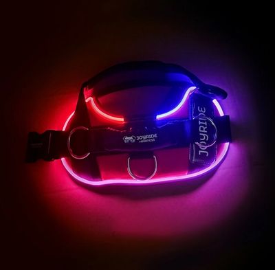 Joyride LED Light Up Harness 2.0, Rechargeable, Large Dogs