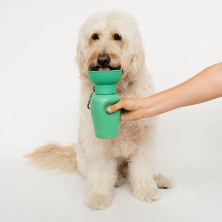 Dog Travel Water Bottle, Flip 20oz, Color: Furbaby Green