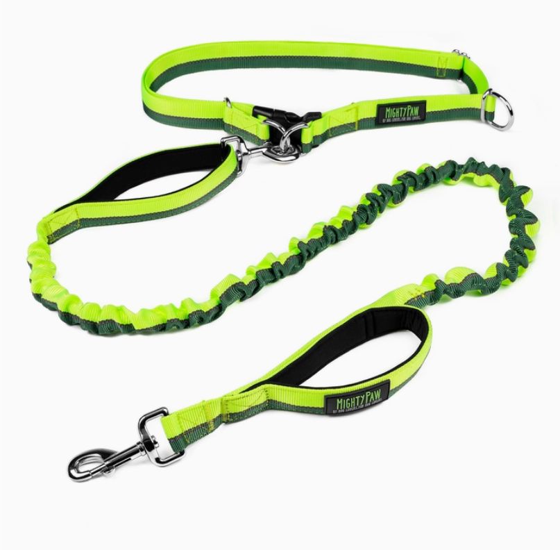 Hands Free Bungee Leash 2.0, Green