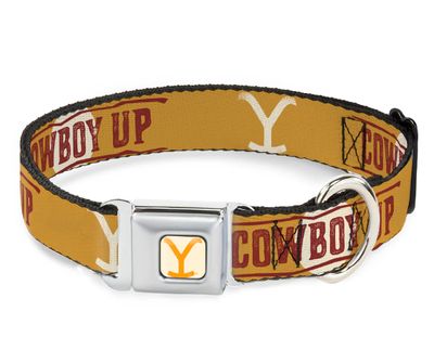Buckle Down COWBOY UP Yellowstone Y Logo Weathered Seatbelt Dog Collar