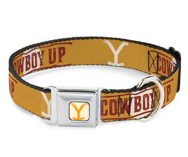 Buckle Down COWBOY UP Yellowstone Y Logo Weathered Seatbelt Dog Collar
