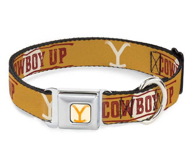 Buckle Down COWBOY UP Yellowstone Y Logo Weathered Seatbelt Dog Collar, Size: Medium 1in (11-16.5&quot;)