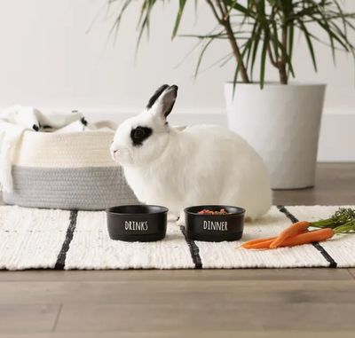 Dinner And Drinks Pet Bowl Set, Small, Set of 2, Black