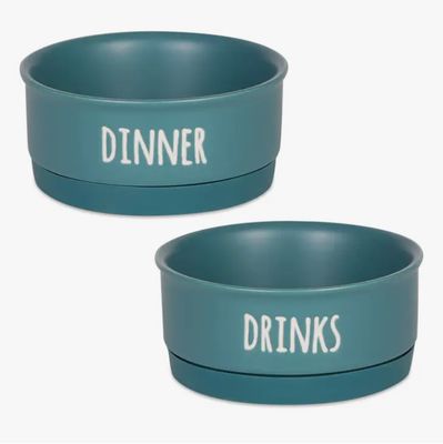 Dinner And Drinks Pet Bowl Set, Small, Set of 2 in Teal